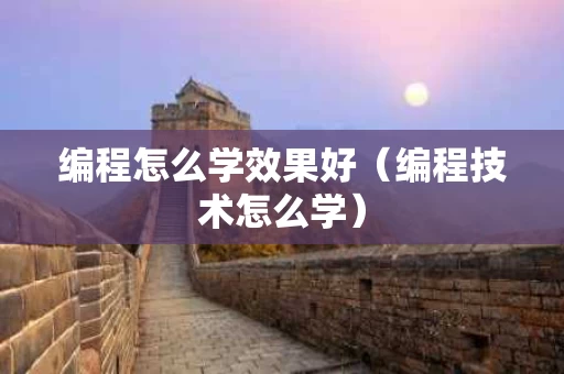 编程怎么学效果好（编程技术怎么学）
