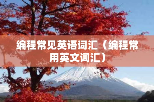 编程常见英语词汇（编程常用英文词汇）