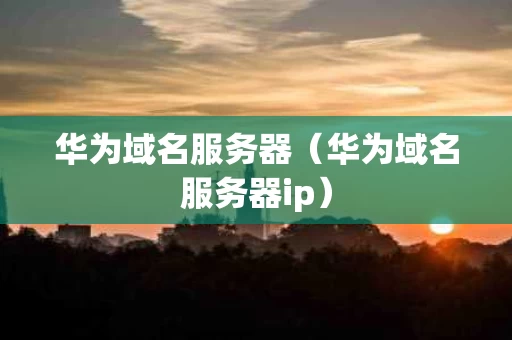 华为域名服务器（华为域名服务器ip）