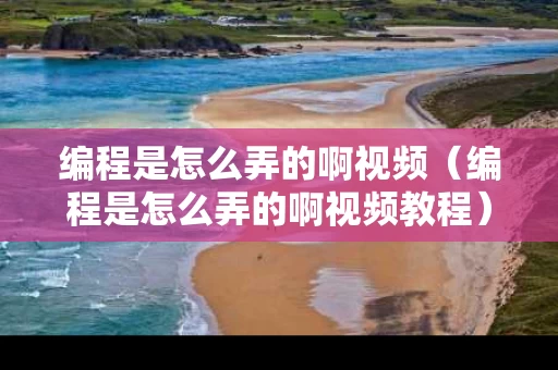 编程是怎么弄的啊视频（编程是怎么弄的啊视频教程）
