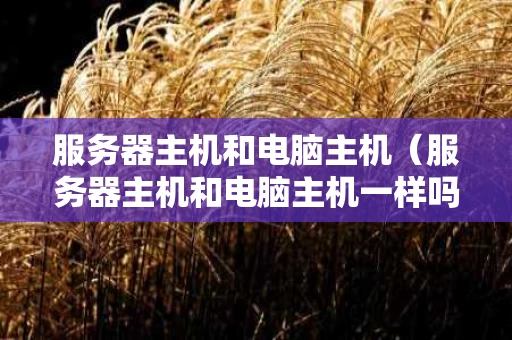 服务器主机和电脑主机（服务器主机和电脑主机一样吗）