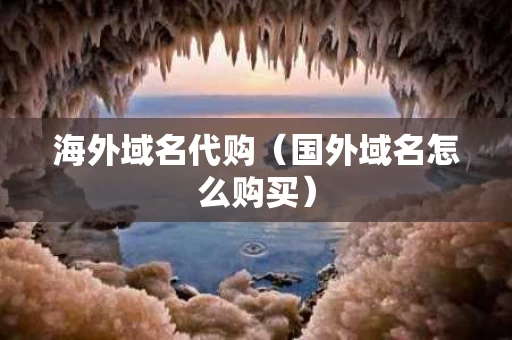 海外域名代购（国外域名怎么购买）