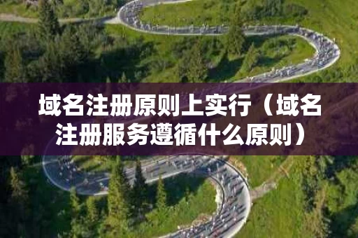 域名注册原则上实行（域名注册服务遵循什么原则）