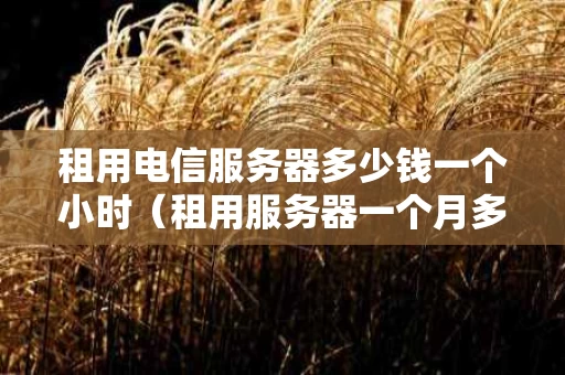 租用电信服务器多少钱一个小时（租用服务器一个月多少钱）