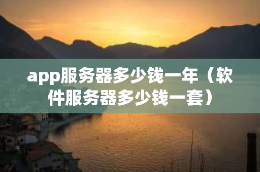 app服务器多少钱一年（软件服务器多少钱一套）