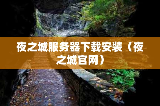 夜之城服务器下载安装（夜之城官网）