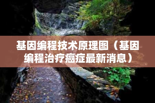 基因编程技术原理图（基因编程治疗癌症最新消息）