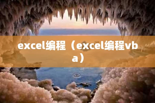 excel编程（excel编程vba）