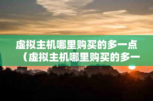 虚拟主机哪里购买的多一点（虚拟主机哪里购买的多一点啊）