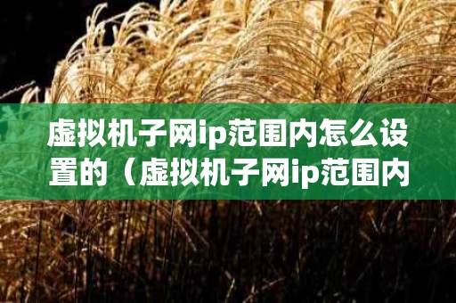 虚拟机子网ip范围内怎么设置的（虚拟机子网ip范围内怎么设置的呢）