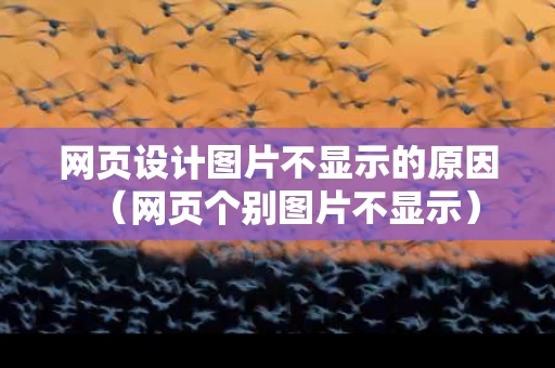 网页设计图片不显示的原因（网页个别图片不显示）