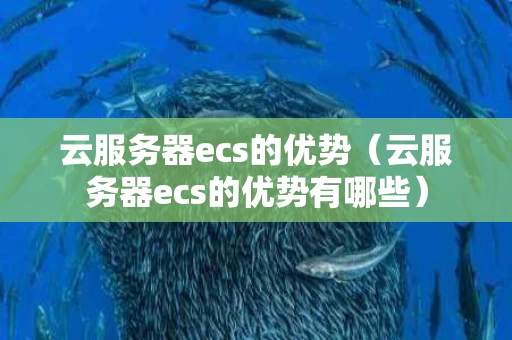 云服务器ecs的优势（云服务器ecs的优势有哪些）