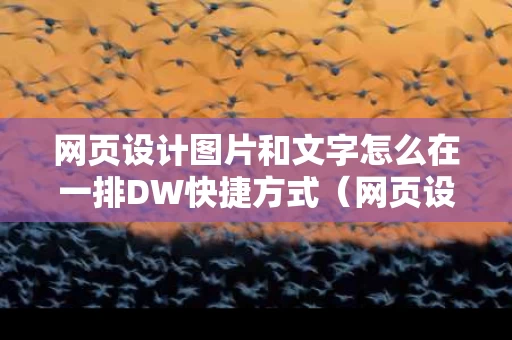 网页设计图片和文字怎么在一排DW快捷方式（网页设计文字和图片并排）