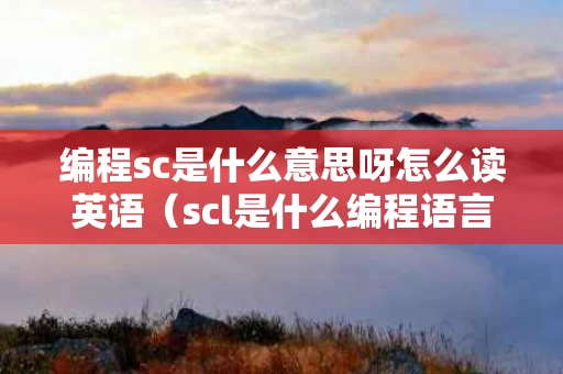 编程sc是什么意思呀怎么读英语（scl是什么编程语言）