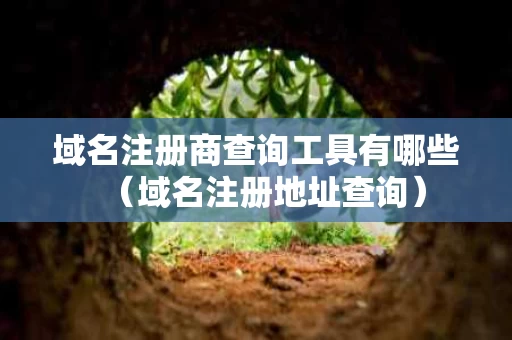 域名注册商查询工具有哪些（域名注册地址查询）