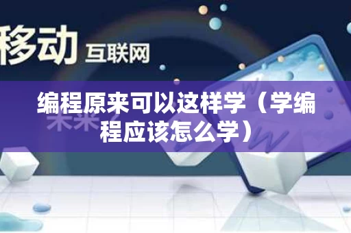 编程原来可以这样学（学编程应该怎么学）