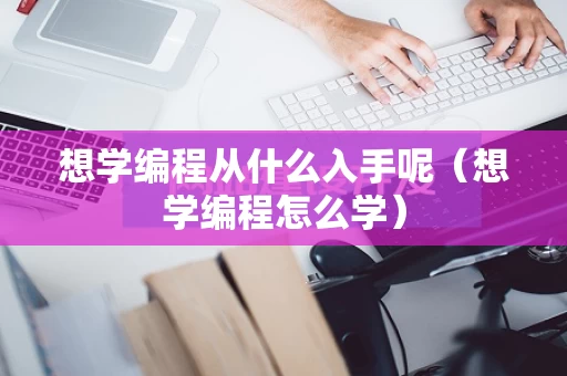想学编程从什么入手呢（想学编程怎么学）
