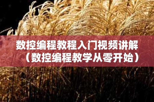 数控编程教程入门视频讲解（数控编程教学从零开始）