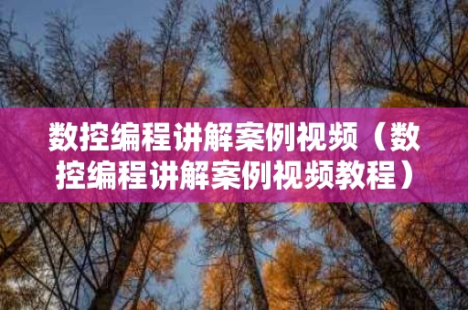数控编程讲解案例视频（数控编程讲解案例视频教程）