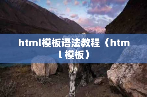 html模板语法教程（html 模板）