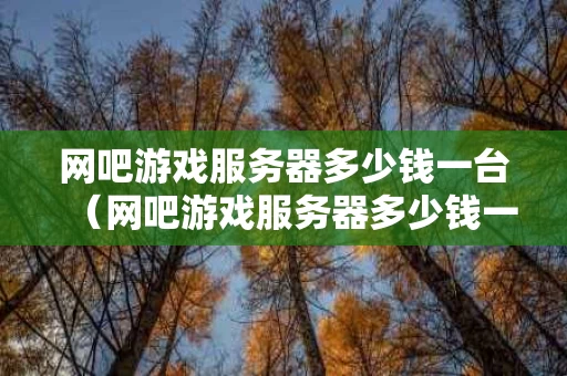 网吧游戏服务器多少钱一台（网吧游戏服务器多少钱一台啊）
