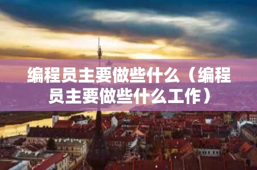 编程员主要做些什么（编程员主要做些什么工作）