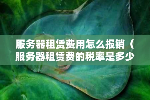 服务器租赁费用怎么报销（服务器租赁费的税率是多少）