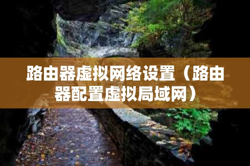 路由器虚拟网络设置（路由器配置虚拟局域网）