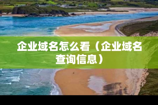 企业域名怎么看（企业域名查询信息）