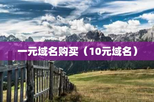 一元域名购买（10元域名）