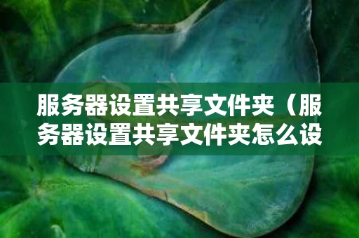 服务器设置共享文件夹（服务器设置共享文件夹怎么设置）