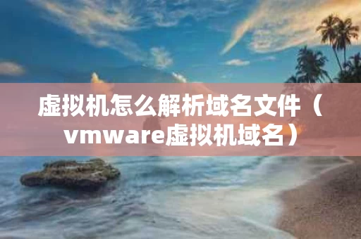 虚拟机怎么解析域名文件（vmware虚拟机域名）