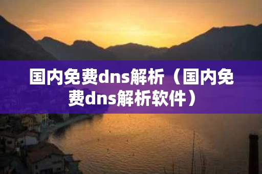 国内免费dns解析（国内免费dns解析软件）