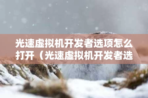 光速虚拟机开发者选项怎么打开（光速虚拟机开发者选项怎么打开啊）
