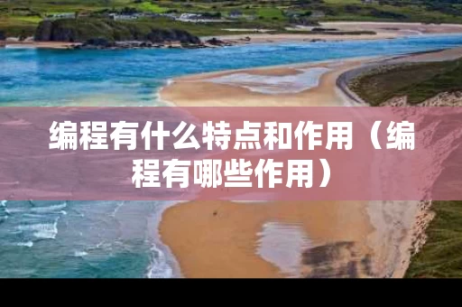 编程有什么特点和作用（编程有哪些作用）