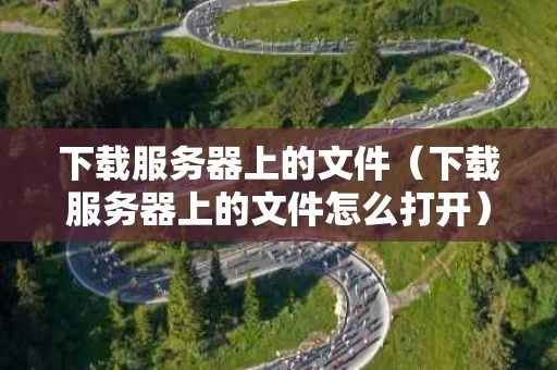 下载服务器上的文件（下载服务器上的文件怎么打开）