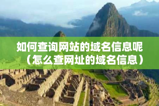 如何查询网站的域名信息呢（怎么查网址的域名信息）