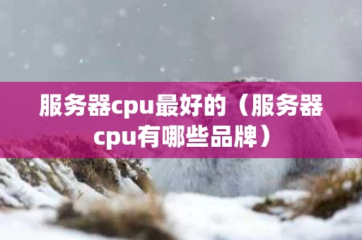 服务器cpu最好的（服务器cpu有哪些品牌）