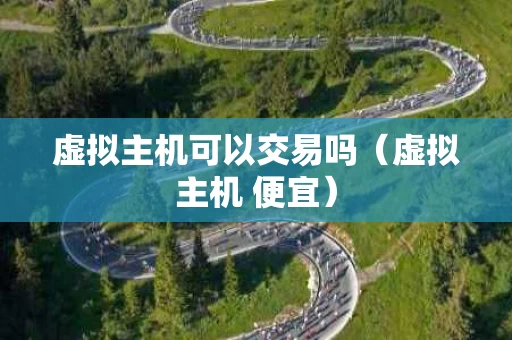 虚拟主机可以交易吗（虚拟主机 便宜）