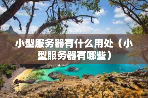 小型服务器有什么用处（小型服务器有哪些）