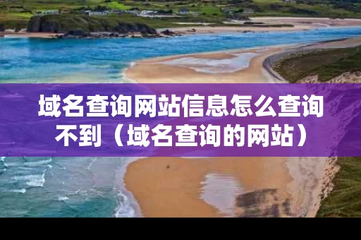 域名查询网站信息怎么查询不到（域名查询的网站）