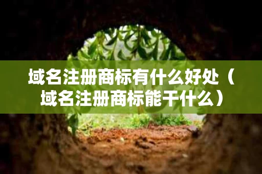 域名注册商标有什么好处（域名注册商标能干什么）