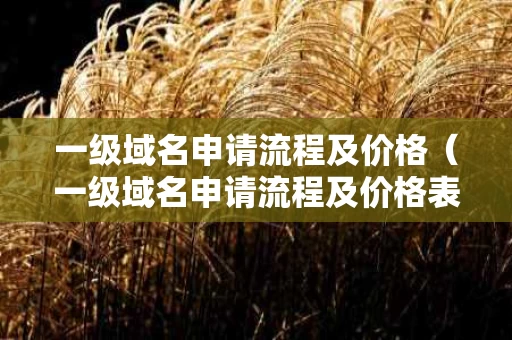 一级域名申请流程及价格（一级域名申请流程及价格表）