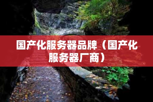国产化服务器品牌（国产化服务器厂商）
