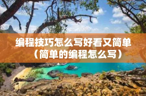 编程技巧怎么写好看又简单（简单的编程怎么写）