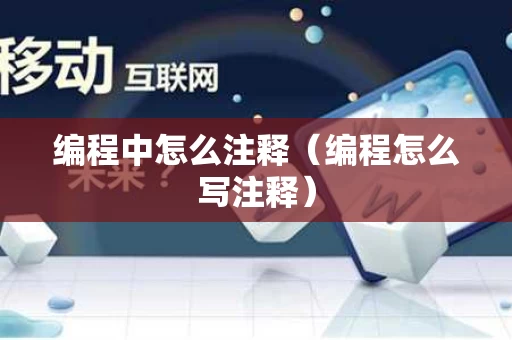 编程中怎么注释（编程怎么写注释）