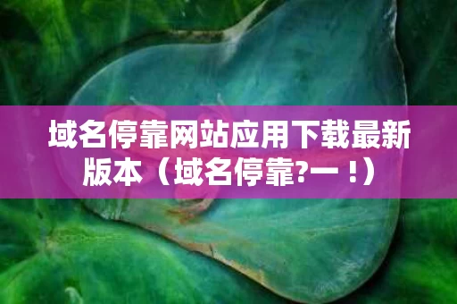 域名停靠网站应用下载最新版本（域名停靠?一 !）