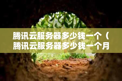腾讯云服务器多少钱一个（腾讯云服务器多少钱一个月）