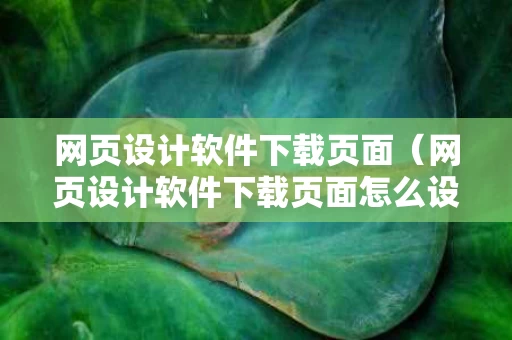 网页设计软件下载页面（网页设计软件下载页面怎么设置）