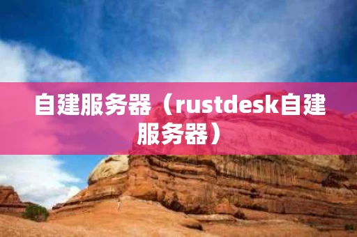 自建服务器（rustdesk自建服务器）